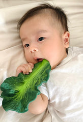 Natural Rubber Kale Teether